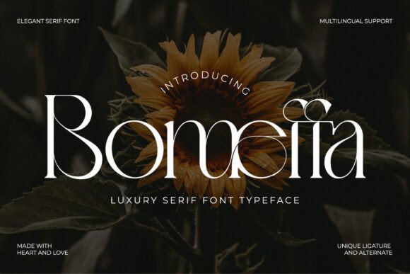 Bomeffa Regular: Elegant Typography for Campaigns