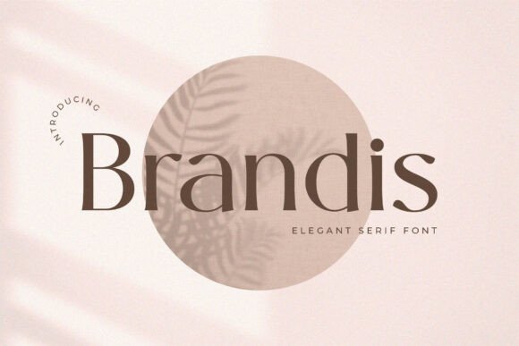 Brandis – Elegant Serif Font for Timeless Designs
