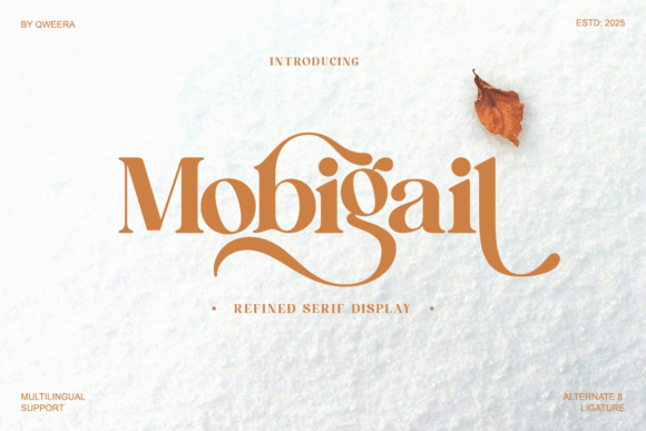 Mobigail: A Refined Serif Typeface for Digital Marketing