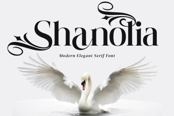 Shanolia: A Serif Font for Elegant Web Design
