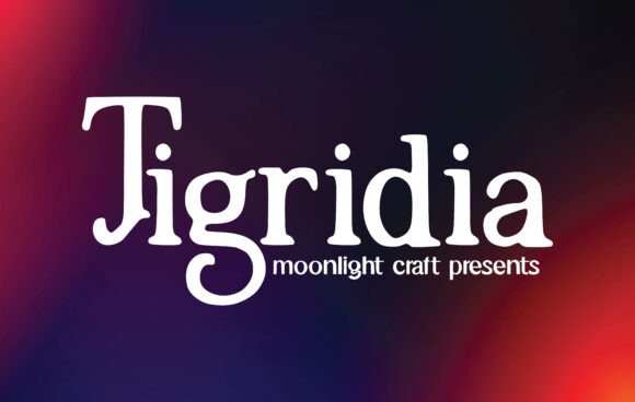 Tigridia: A Serif Font Built for Editorial Design and Readability